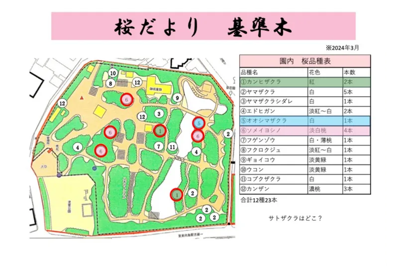 向島百花園の桜・花見情報_4