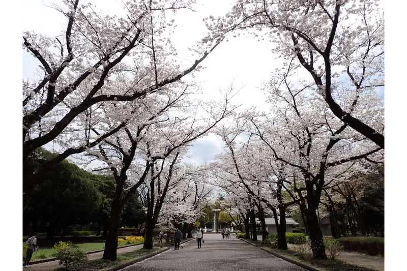 府中の森公園_1