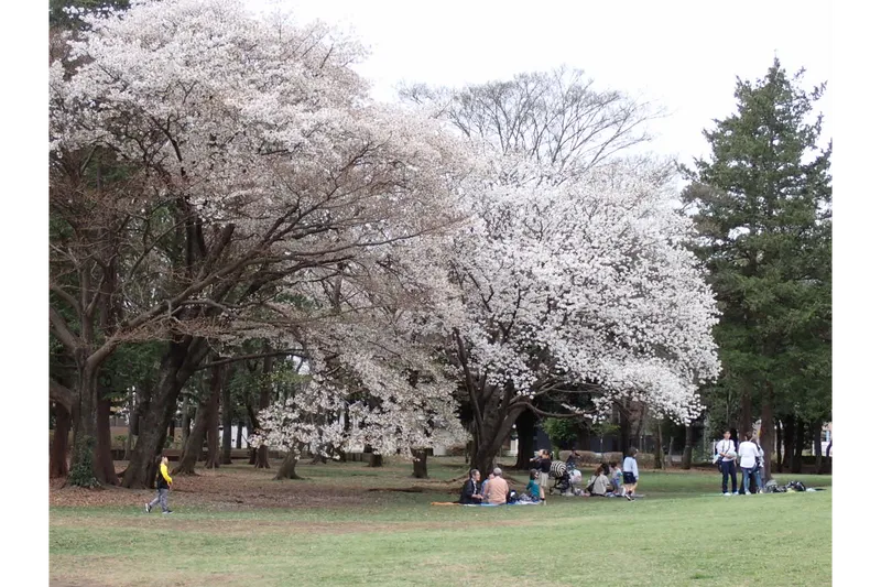 府中の森公園_2