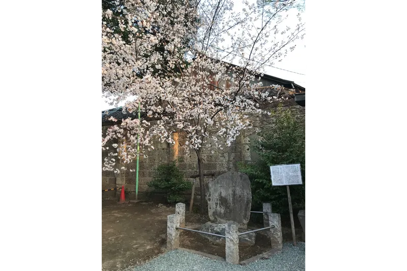 川越熊野神社_1