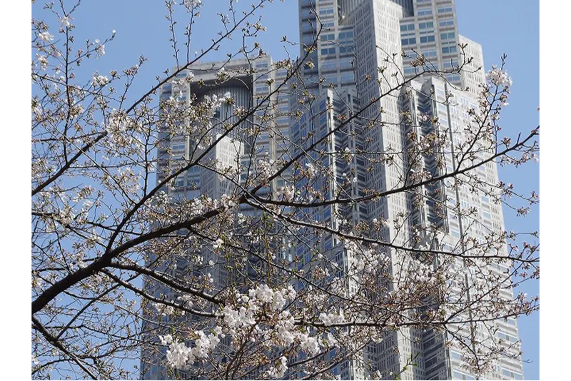 画像提供：新宿中央公園管理事務所(2024年4月撮影)