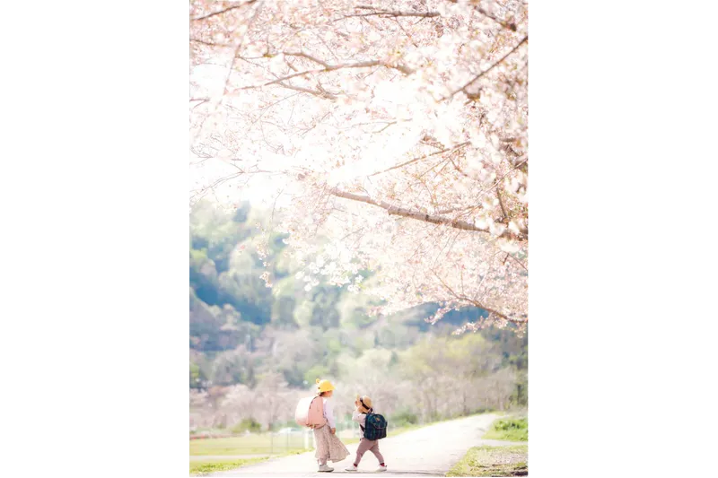 桜づつみ公園の桜・花見情報_2