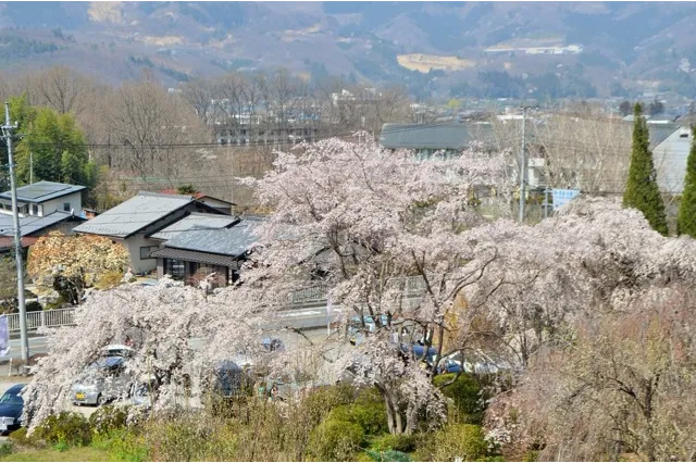 法善寺　＜長瀞周辺＞_1