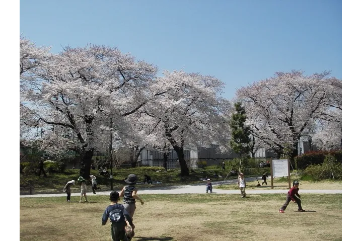 立川公園②