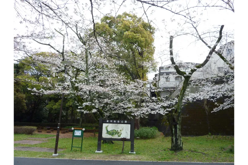 富岡総合公園の桜・花見情報_3