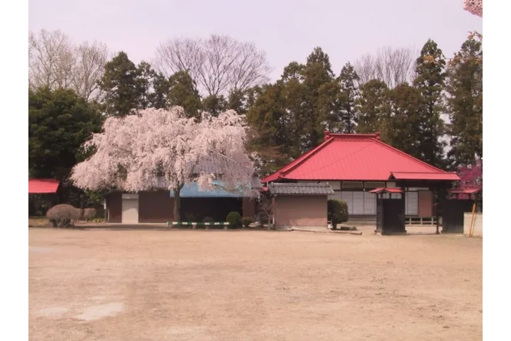 画像提供者：北本市教育委員会