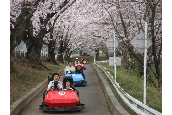 ゴーカートと桜
