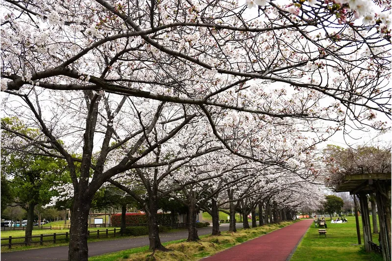 みさと公園_1