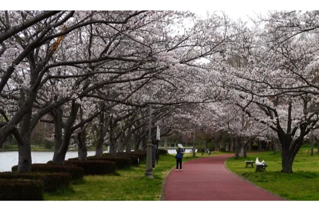 みさと公園_2