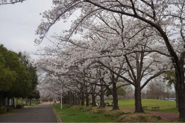 みさと公園_3