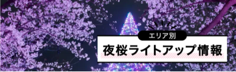 夜桜ライトアップ情報