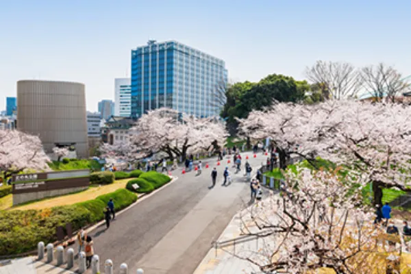 穴場のお花見スポット