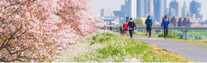 東京の桜並木＆桜トンネルの名所