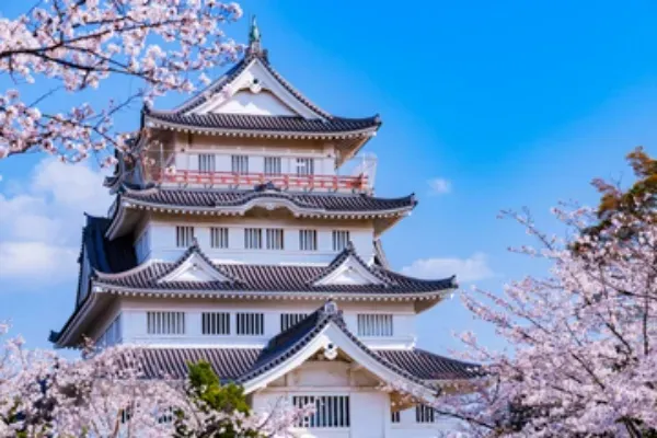 千葉県の桜まつり・花見イベント情報
