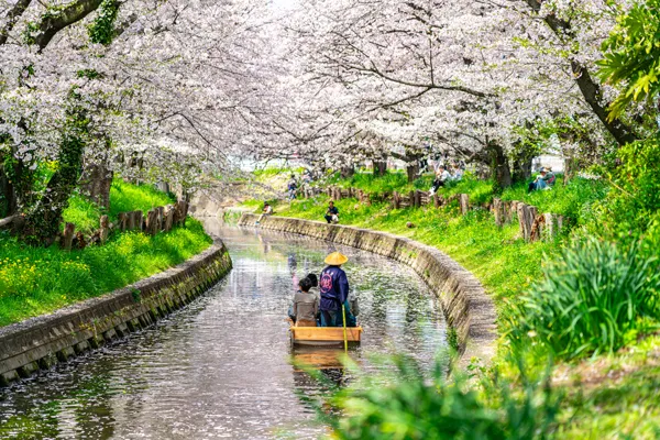 埼玉県の桜まつり・花見イベント情報