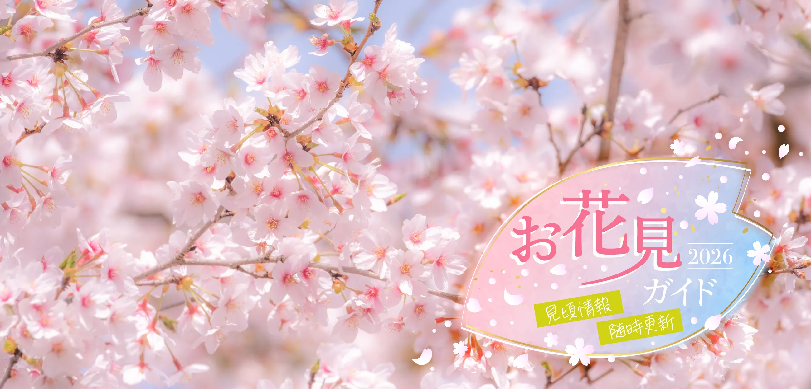 関東のお花見・桜の名所2026