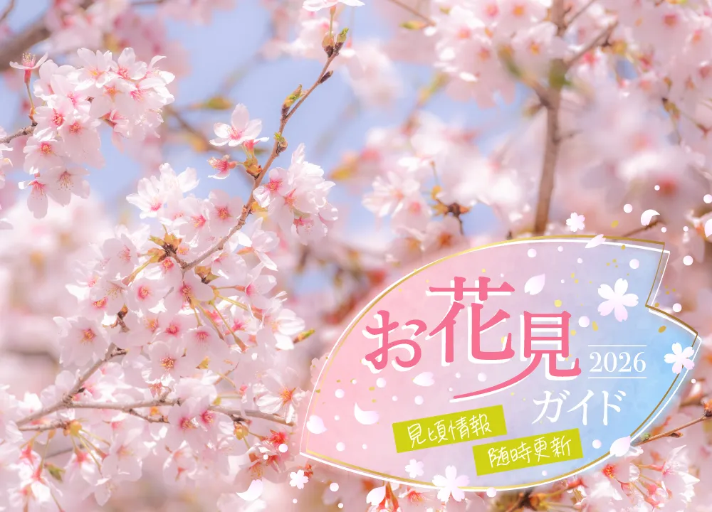 関東のお花見・桜の名所2026