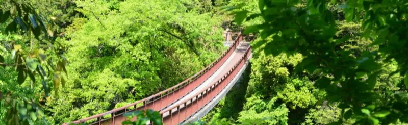 あきる野市
