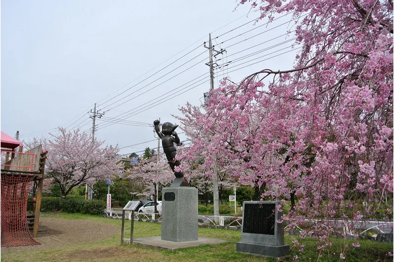 飯能河原の桜・花見情報_2