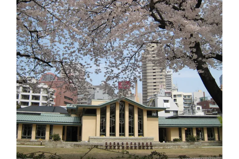 自由学園明日館の桜・花見情報_1