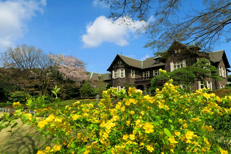 ヤマブキと洋館