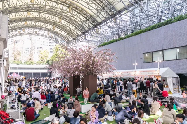 アークヒルズの桜・花見情報_2
