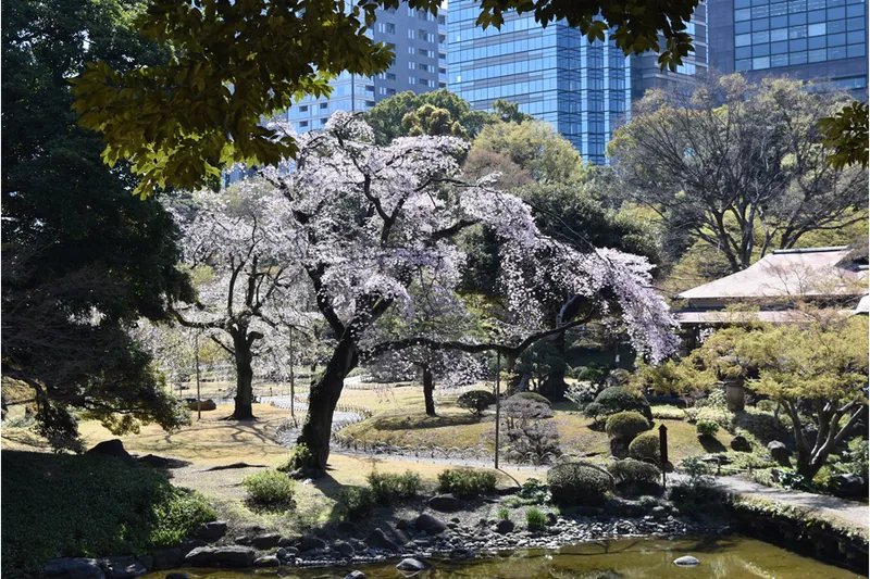 小石川後楽園_3