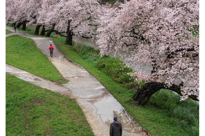いろは親水公園