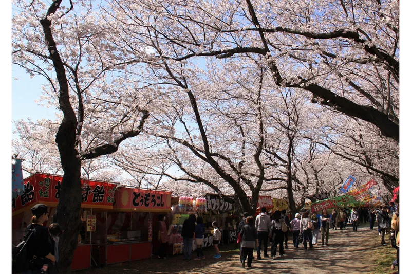 県営権現堂公園