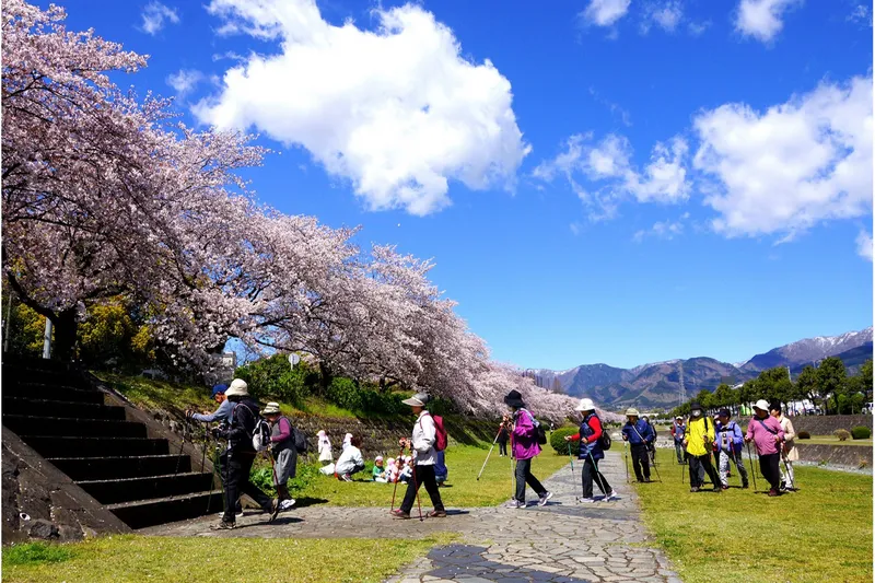 秦野市カルチャーパーク_1