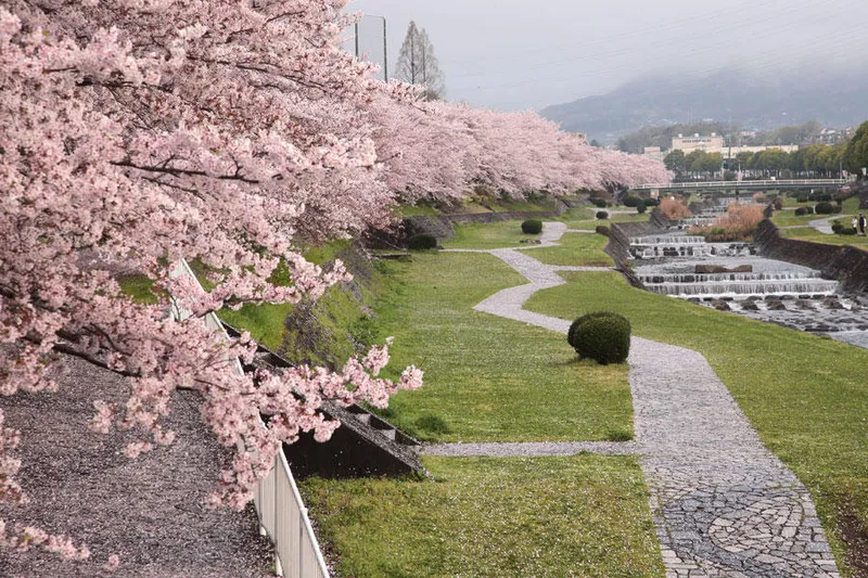 秦野市カルチャーパーク_2