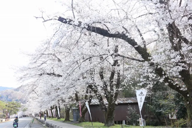 寳登山神社_2