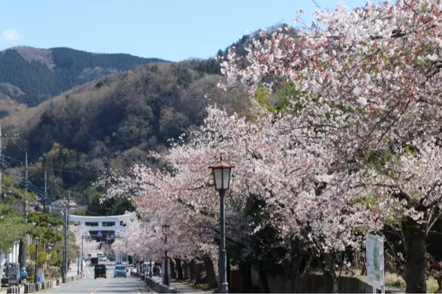 寳登山神社_3