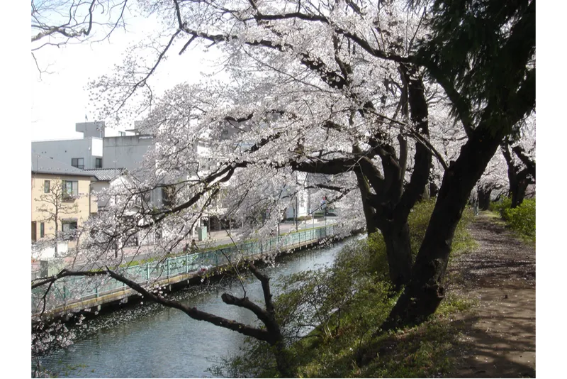 高崎城址公園_2