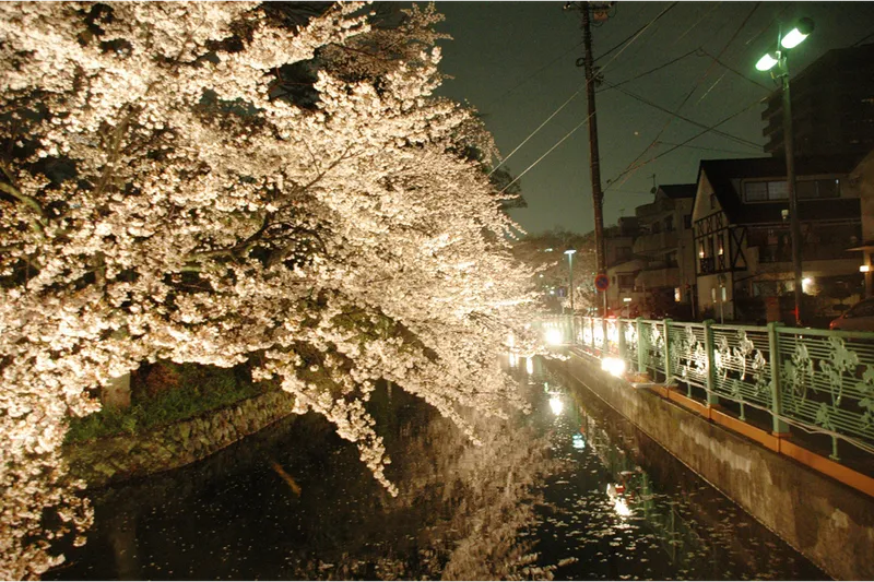 高崎城址公園_3