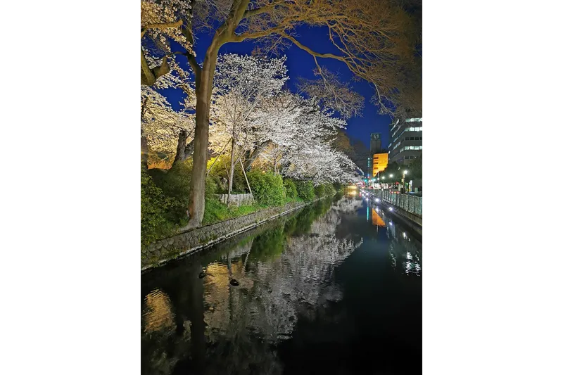 高崎城址公園_5