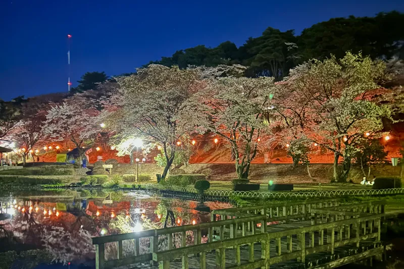 烏ヶ森公園の桜・花見情報_4