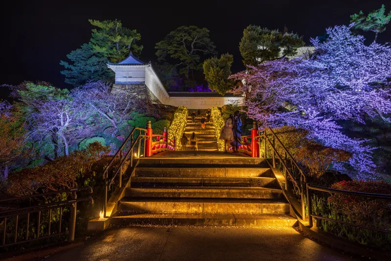 夜間ライトアップ（常盤木橋）