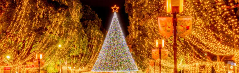 クリスマスツリー