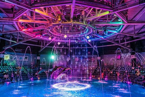 クリスマスにおすすめの水族館