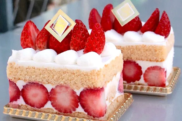 ツウの4人が選ぶ“推しケーキ”の聖地28選