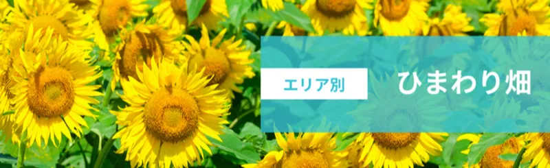 夏祭り・夏のイベント特集_520168