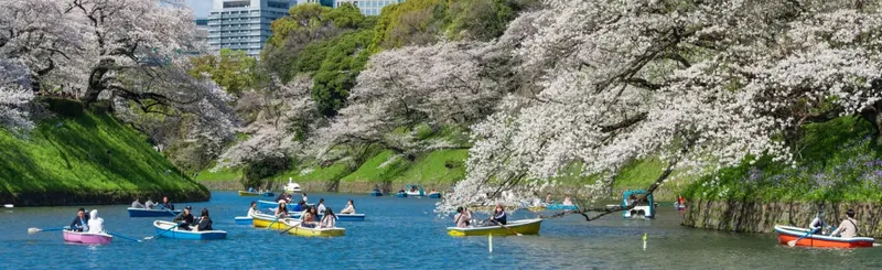【編集部ブログ】2025年版 季節のおでかけまとめ～東京メトロ沿線の“お花見スポット3選”～