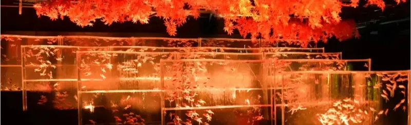 季節のおでかけまとめ～東京メトロ沿線の“11月に行きたいイベント5選”～