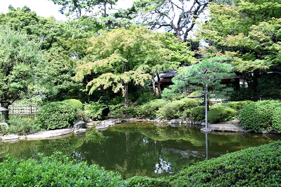 レストラン デュ パルク かぶりもの