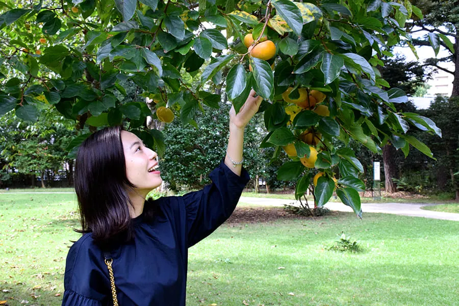 レストラン デュ パルク かぶりもの