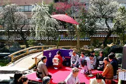 湯島天神梅まつり 2018
