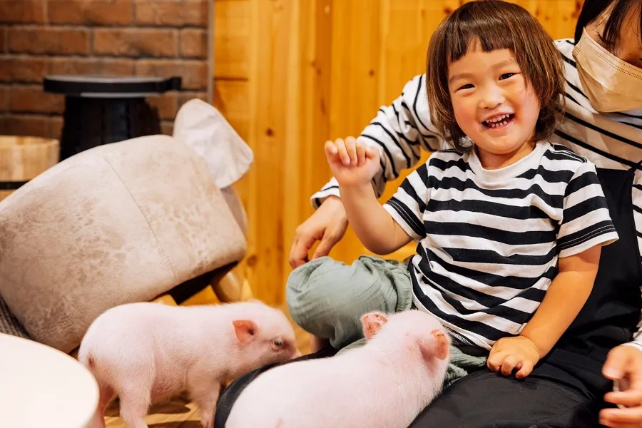 pignic farm&café