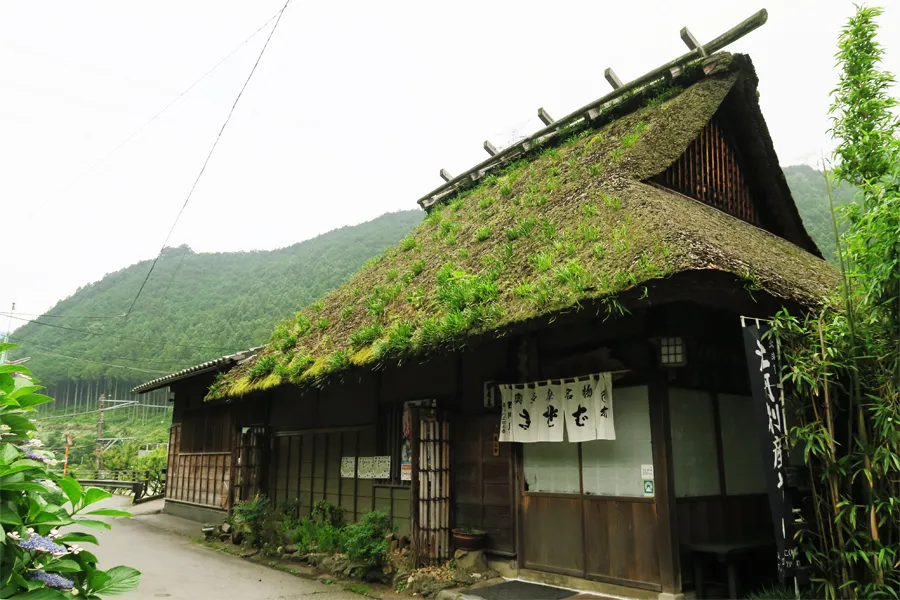 玉川屋店舗