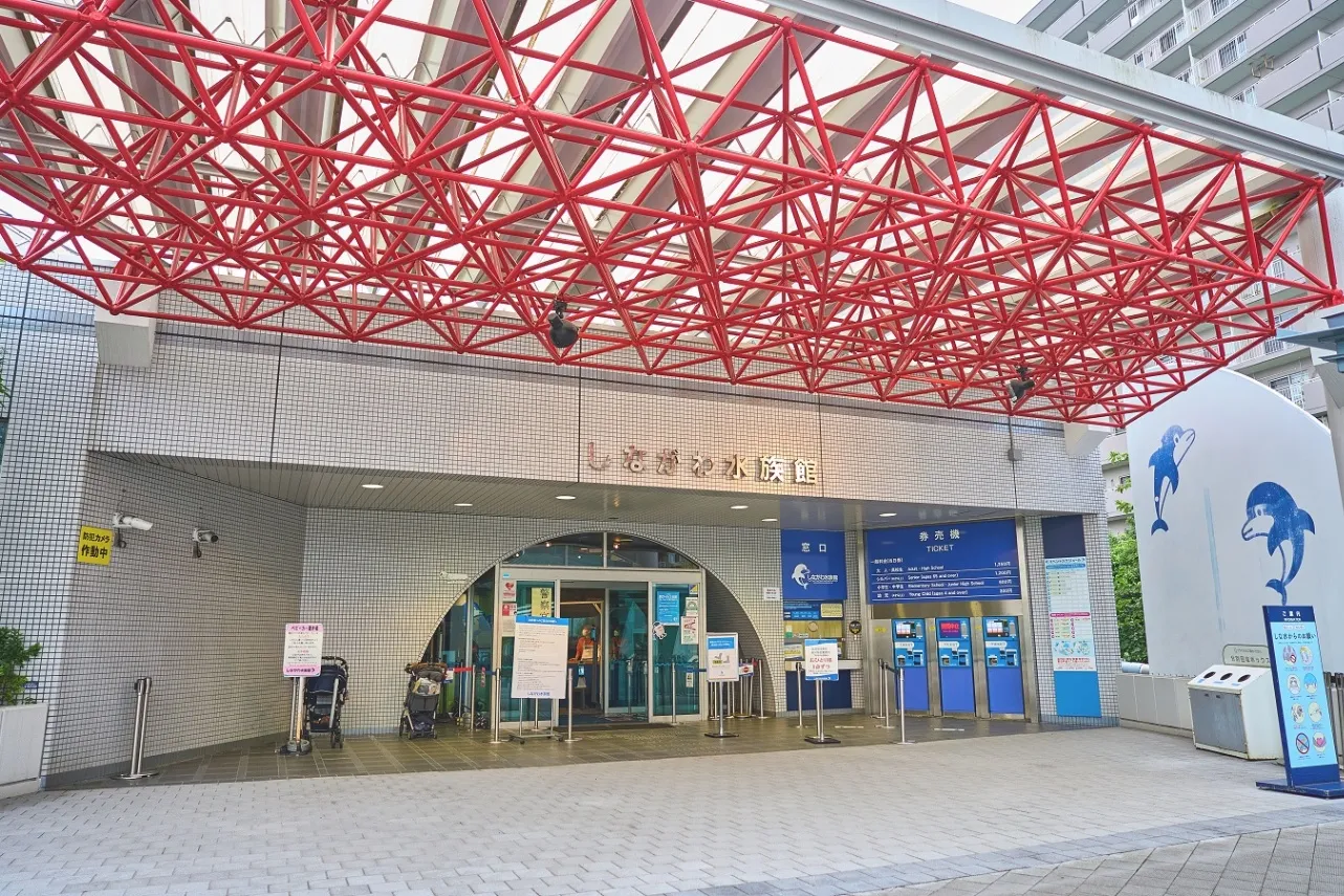 しながわ水族館_7